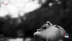 اکران: بررسی آثار داریوش مهرجویی و جایگاه فکری او در سینما