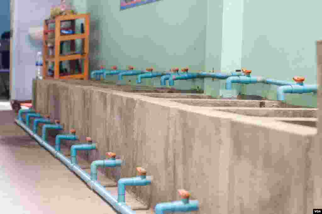 Tanks containing baby soft-shell turtles are seen at the protection center. The process is expected to increase hatchling survival rates. (Khan Sokummono/VOA)