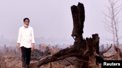 Presiden Joko Widodo memeriksa sisa-sisa kebakaran hutan dalam kunjungan di Banjarbaru, Kalimantan Selatan (23/9).