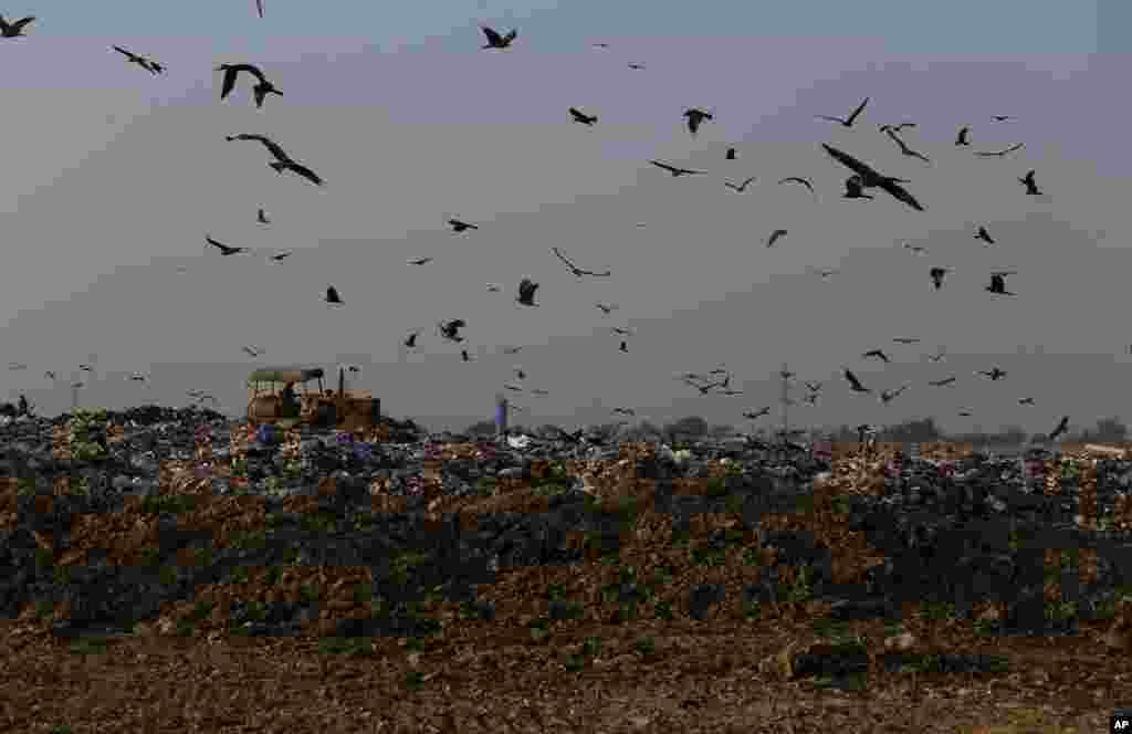 FILE - Crows and black kites fly next to a tractor working on a garbage-dump on the outskirts of Islamabad, Pakistan, Dec. 4, 2018.