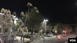 Streets are empty amid the coronavirus pandemic, in Bishkek, Kyrgyzstan. (Carl Liles/VOA)