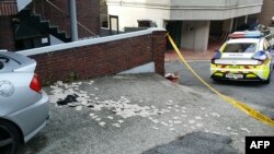 북한이 살포한 오물 풍선 잔해가 서울 은평구에서 발견됐다.