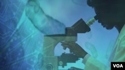 Alat yang dilarang termasuk dua atomic absorption spectrophometer yang digunakan untuk mengukur kadar logam sebuah bahan.