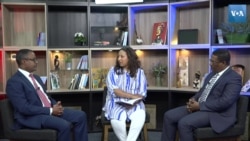 የኢትዮጵያ መንግሥት አንደበቶች - በዋሽንግተን ዲሲ - ክፍል ሁለት