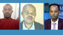 Kutaa 2ffaa: Gaafiwwan Dargaggoonni Yeroo Mormii Oromiyaa Kaasaa Turan Deebii Argachaa Jiranii?