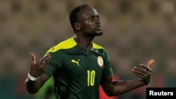 Les Lions de la Teranga de Sadio Mané visent le doublé, dans le groupe C, ils affronteront le Cameroun, la Guinée et la Gambie.