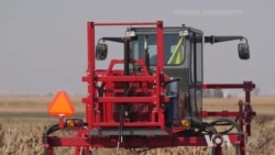 Better Crop Monitoring Leads to Higher Yields