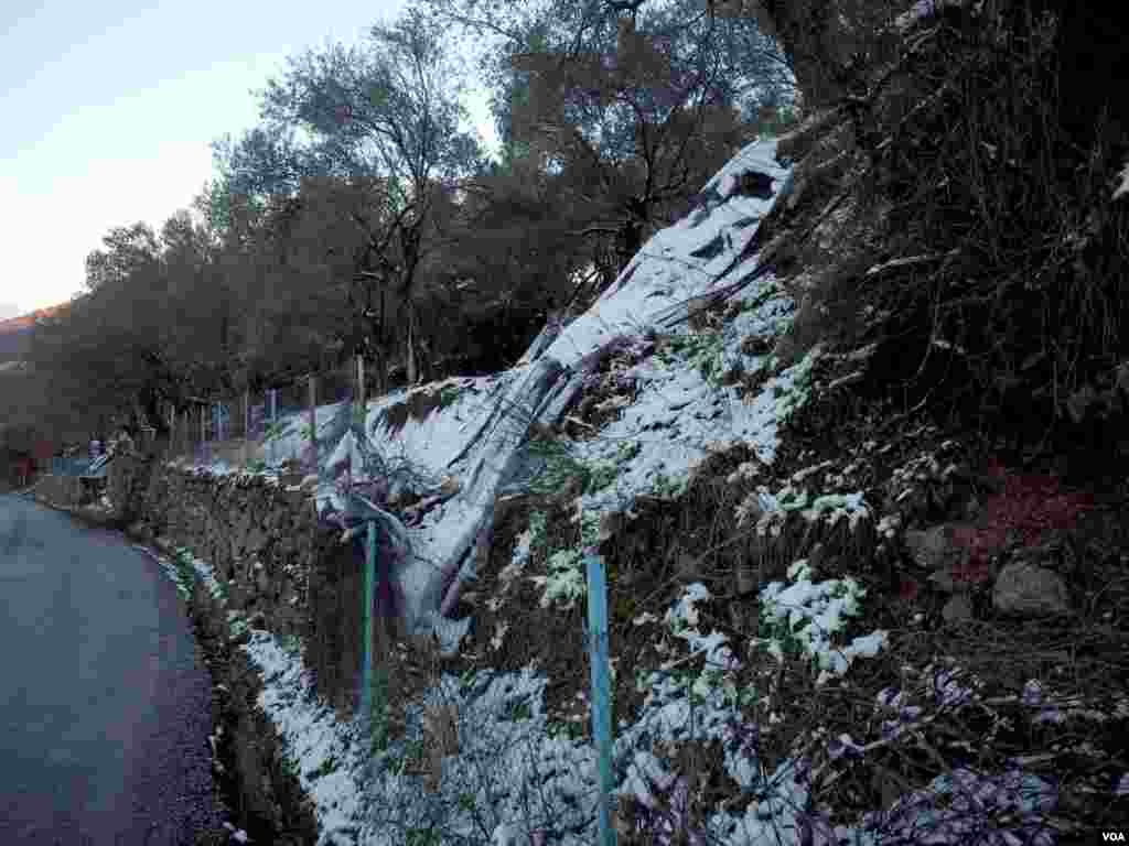 It snowed for the first time in years in Lesbos this week, and aid workers say fewer boats land during storms, but many more people are braving the cold than at this time last year, Lesbos, Greece, Jan. 19, 2016. (VOA/Hamada Elrasam) 