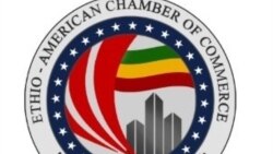 የኢትዮ-አሜሪካዊያን የንግድ ምክር ቤት ተቋቋመ