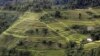 FILE - Terraced rice paddy fields are seen during the harvest season in Hoang Su Phi, north of Hanoi, Vietnam, Sept. 18, 2015. 