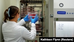 FILE - Technician Sarah Scheuermann at the Tulane National Primate Research Center, in Covington, Louisiana, U.S. It is one of the centers that have changed their efforts to studying the coronavirus, May 10, 2021. (REUTERS/Kathleen Flynn)