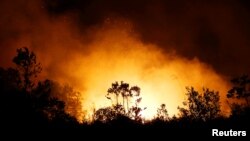 FILE - Trees and peatland are pictured during a fire in Palangka Raya, Central Kalimantan province, Indonesia, September 17, 2019. (REUTERS/Willy Kurniawan)