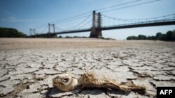 Sungai Loire di Montjean-sur-Loire, Prancis barat pada 24 Juli 2019, karena kondisi kekeringan terjadi di sebagian besar Eropa barat. (Foto: AFP)