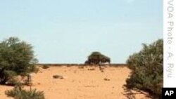 UN: Drought Forcing New Cycle of Human Suffering in Somalia