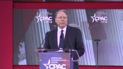 NRA Chief: Democrats, Media 'Want More Control' Over Guns