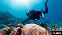 Maritime archaeologist Kelly Gleason with the Papahanaumokuakea Marine National Monument is shown with a ginger jar from the 19th-century shipwrecked whaling ship Two Brothers in February 2011. 