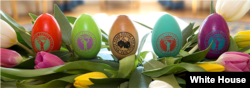 The 2015 souvenir eggs.