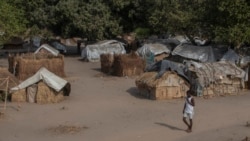 Ataques matam 10 pessoas em Cabo Delgado