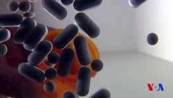 AQShda dori suiiste'moliga qarshi choralar e'lon qilindi