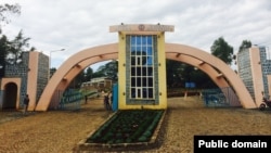 Yunversiitii Wallagaa 