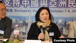 高瑜2012年10月在布达佩斯全球支持中国和亚洲民主化论坛大会上演讲（资料照片）