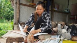 អ្នកភូមិមួយ​នៅ​ខេត្តសៀមរាប​ធ្វើមេអំបៅ ចាប ទា ឃ្មុំ ពីដូង​ដើម្បី​រកចំណូល​បន្ថែម​ពេល​កូរ៉ូណា​រាតត្បាត