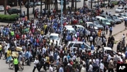 Zimbabwean Civil Servants march through the streets of Harare (File Photo).