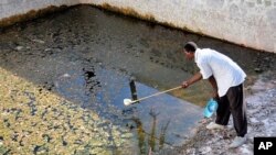 A mosquito scout samples an abandoned pool in Malindi for mosquito larvae; Pools in empty resort homes become a breeding ground for mosquitos during the rainy seasons