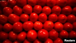 Tomatoes and other vegetables can be grown in EarthBox.