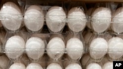Egg Prices
