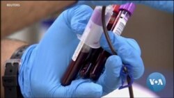 US Student Group Works to End Ban On Blood Donations By Gay Men