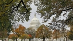 Trees begin to show their autumn colors on the east grounds of the Capitol in Washington, D.C.