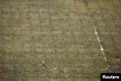 Sebuah lahan pertanian di Afria, 16 Maret 2016. (Foto: Reuters)