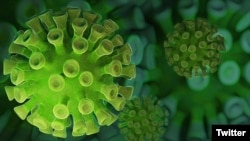 Od jučerašnjeg presjeka Institutu za javno zdravlje Crne Gore je prijavljeno deset smrtnih ishoda povezanih sa Kovid-19