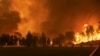 Kebakaran Hutan Tembus Pulau Yunani Sementara Evakuasi Berlanjut