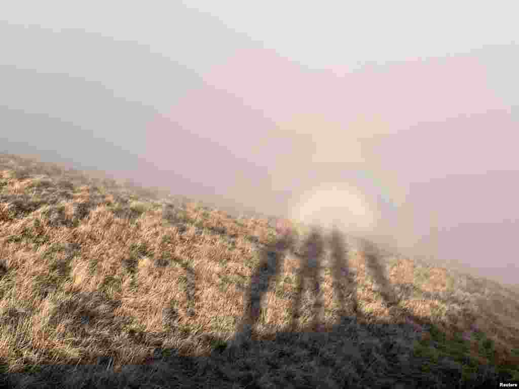 The Brocken specter or mountain specter phenomenon, where the shadow of an observer is magnified and cast on a cloud opposite from the sun or bright light source, is observed on the Howgills, outside Sedbergh, Britain.