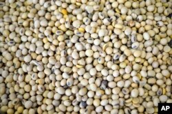 Soybeans are seen at the Frontier Coop in Schuyler, Nebraska, May 13, 2019.