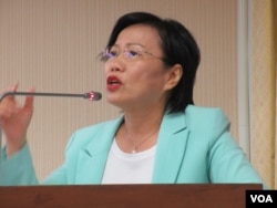 台湾执政党民进党立委刘世芳