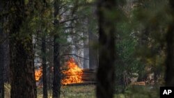 Spot fires burn near trees damaged by the Bootleg Fire, July 22, 2021, in Paisley, Ore. 