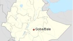 ፍሉይ ሓይሊ ክልል ሶማል ኣብ ዞባ ባሌ  አባላት ሓንቲ ስድራ ዝርኸብዎም ሓሙሽተ ሰባት ምቕታሎም ተገሊጹ