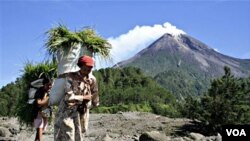 Kepala Badan Vulkanologi dan Mitigasi Bencana Kementerian ESDM, Surono menjelaskan, penurunan status ini berdasarkan aktivitas vulkanik Merapi yang terus mereda.