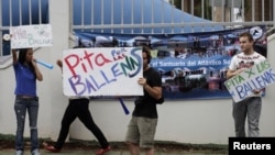 Protesters stand on the street with placards reading "Beep your horn for the Whales" outside the building where the International Whaling Commission is being held during this week in Panama City, July 4, 2012. 