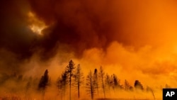 9일 캘리포니아 주 도일에서 발생한 화재 현장 모습