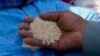 Genetic Study May Make Ancient Inca's Quinoa a Grain of the Future