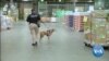 Use of Canine Units Expands in US Airports to Protect Against Possible Terrorist Attacks 