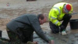 Britain's Oldest Human Footprints Found on Beach