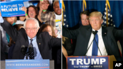 Bernie Sanders dan Donald Trump memenangkan pemilihan pendahuluan di New Hampshire. (Foto: dok.)