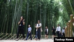 울산에 폭염주의보가 발효된 11일 시민들이 태화강대공원 십리대숲을 걸으며 더위를 식히고 있다. 