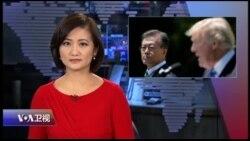 时事大家谈 完整版 (2017年8月10日)