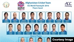 د کرکټ د شل اوریز جام دپاره غوره شوي لوبغاړي